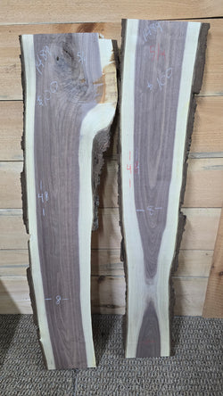 1489 Walnut DIY Bundle