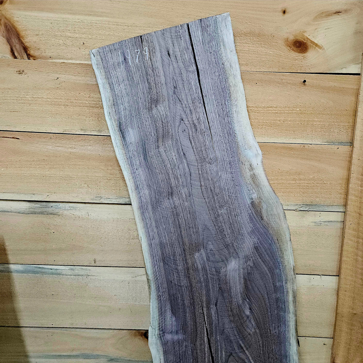 1979 Walnut Live Edge Slab – 52" × 14 - 15" × 7/4"