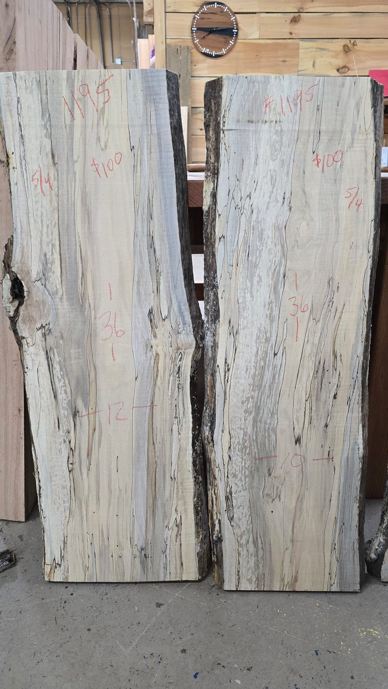 1195 Ambrosia Spalted Maple DIY Bundle