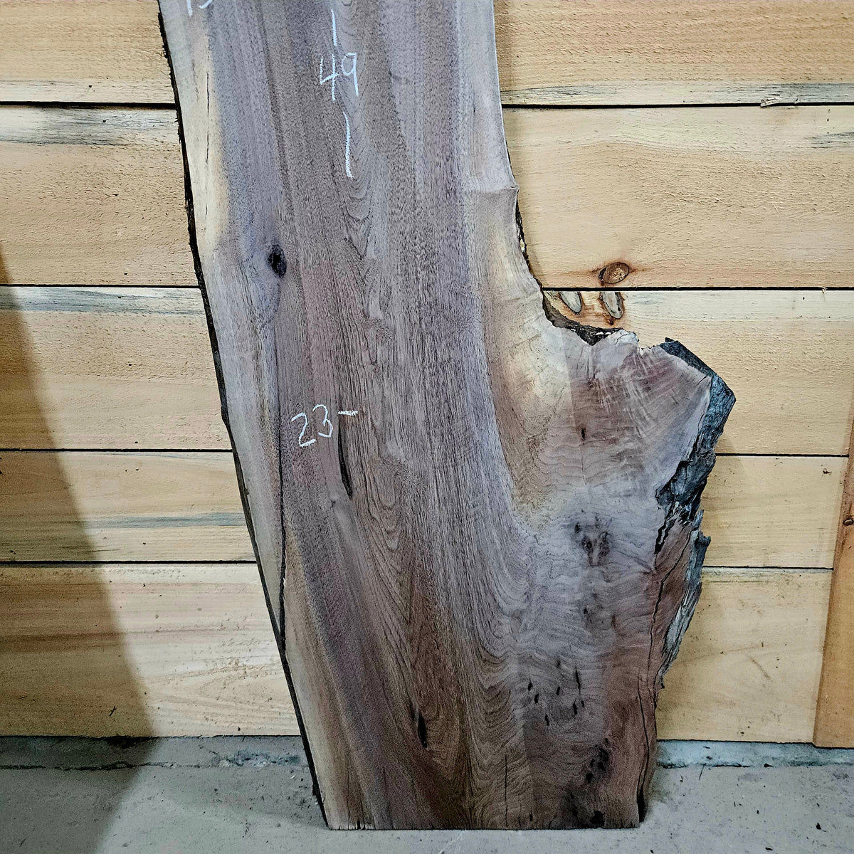 1956 Walnut Live Edge Slab – 49" ×  13" - 23" × 7/4"