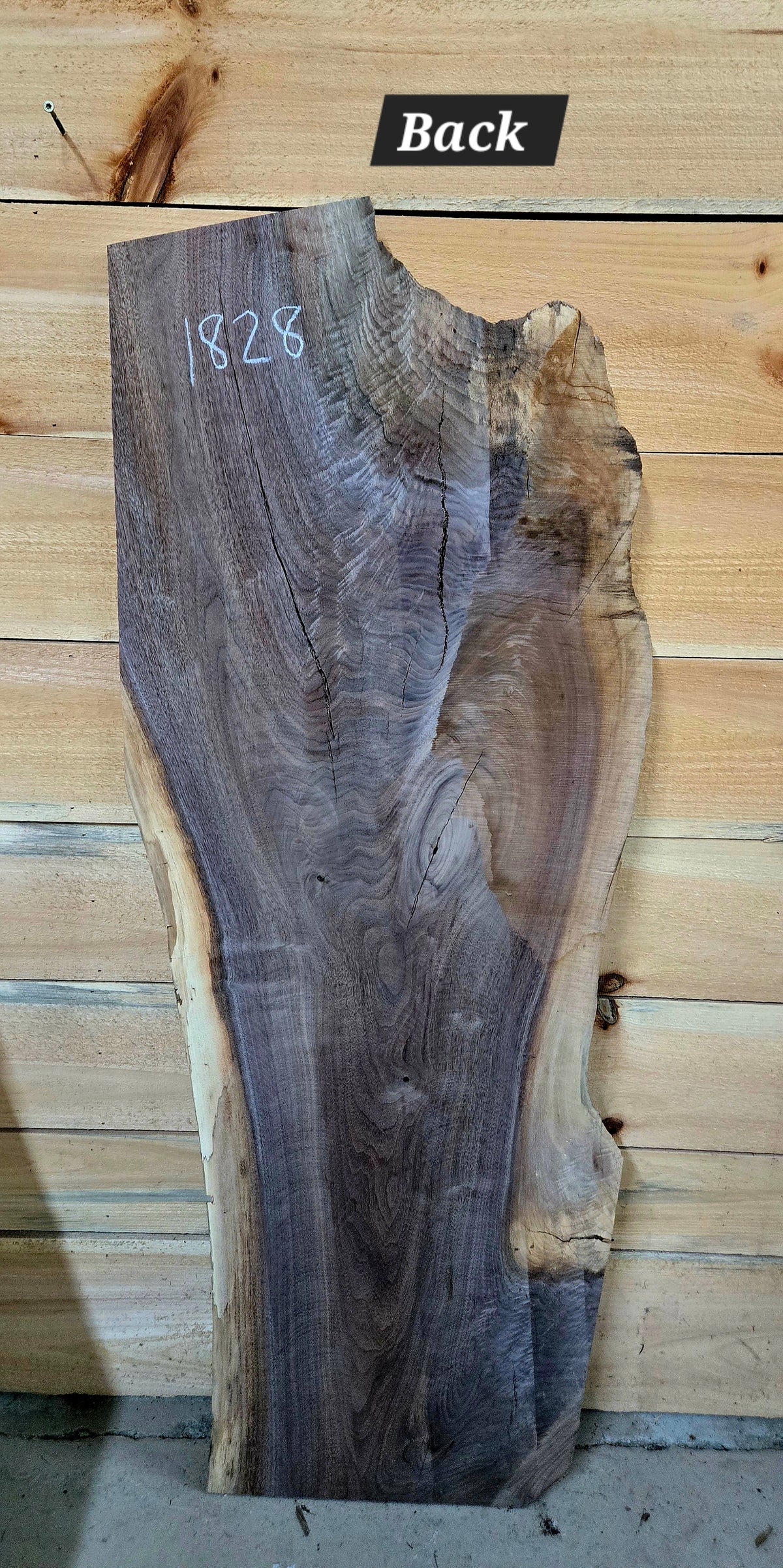 1828 Walnut live edge slab – product image 3