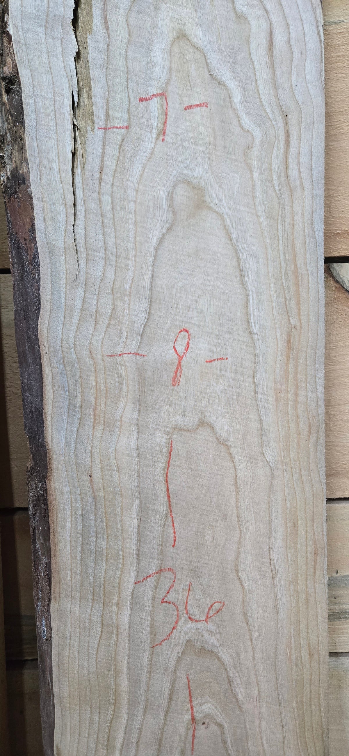 1576 Curly Cherry 2-Piece DIY Wood Bundle, view 3