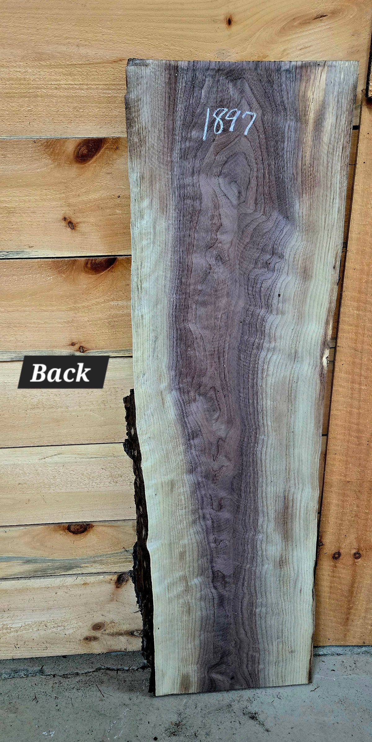 Walnut live edge slab #1897, view 2