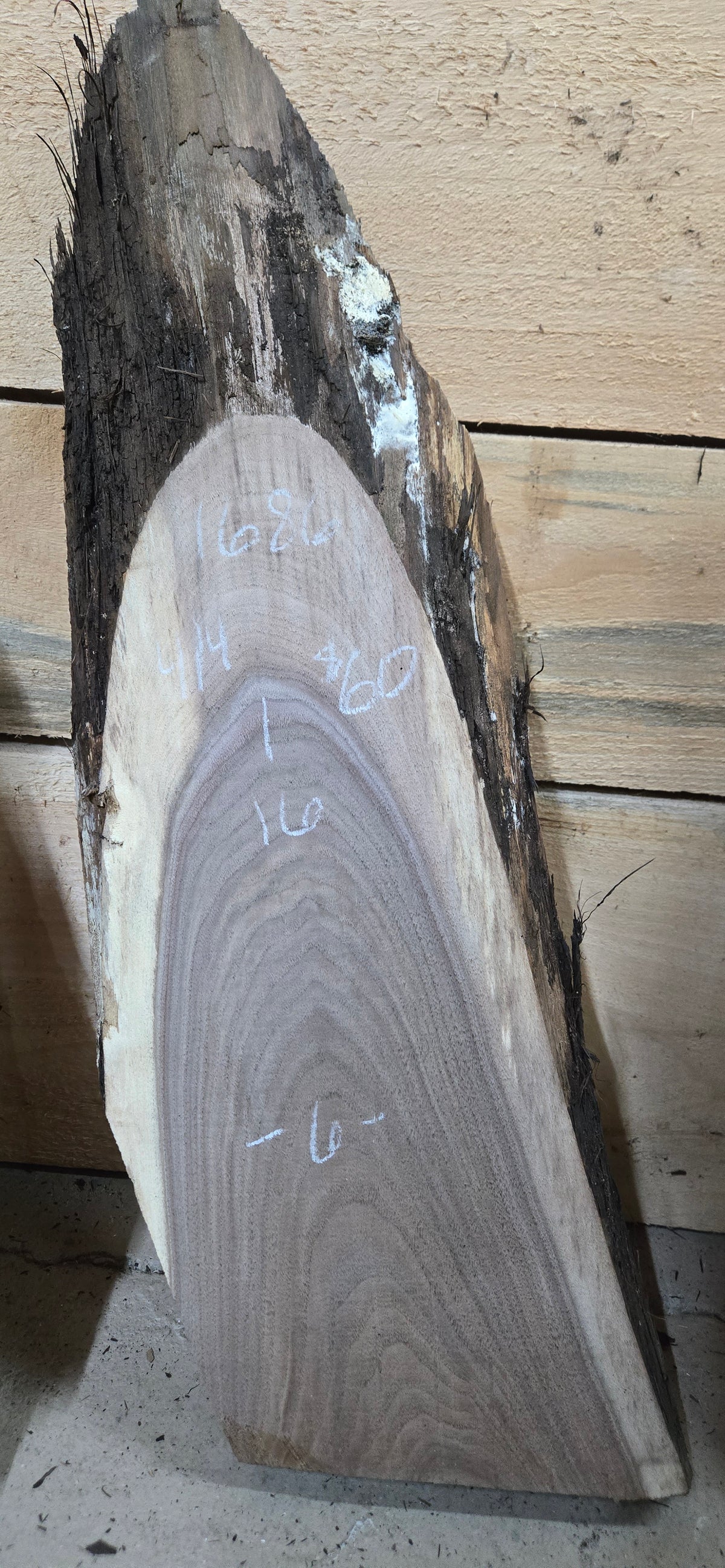 1686 Walnut 3-Piece DIY Wood Bundle, view 4