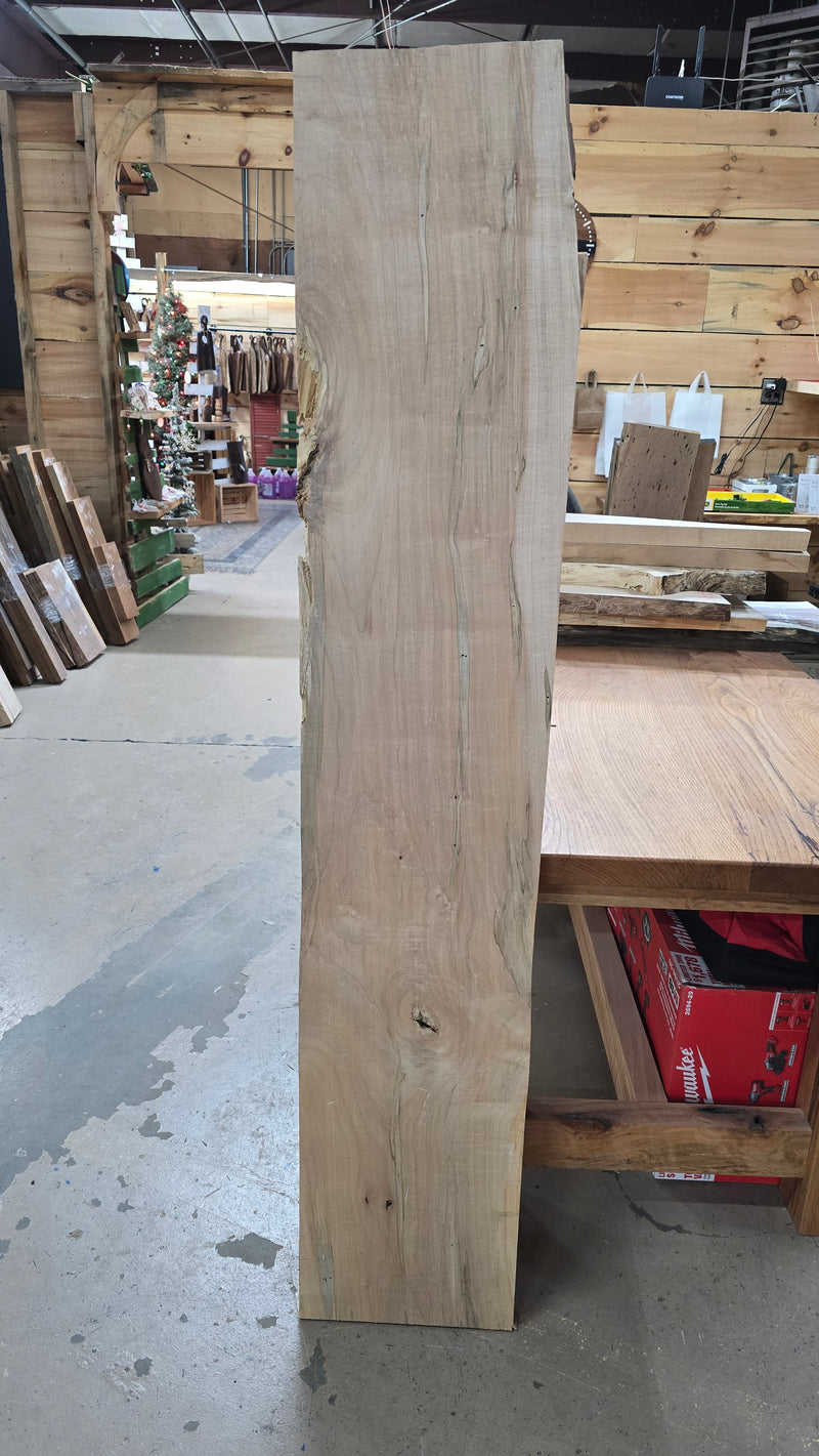 1003 Maple slab