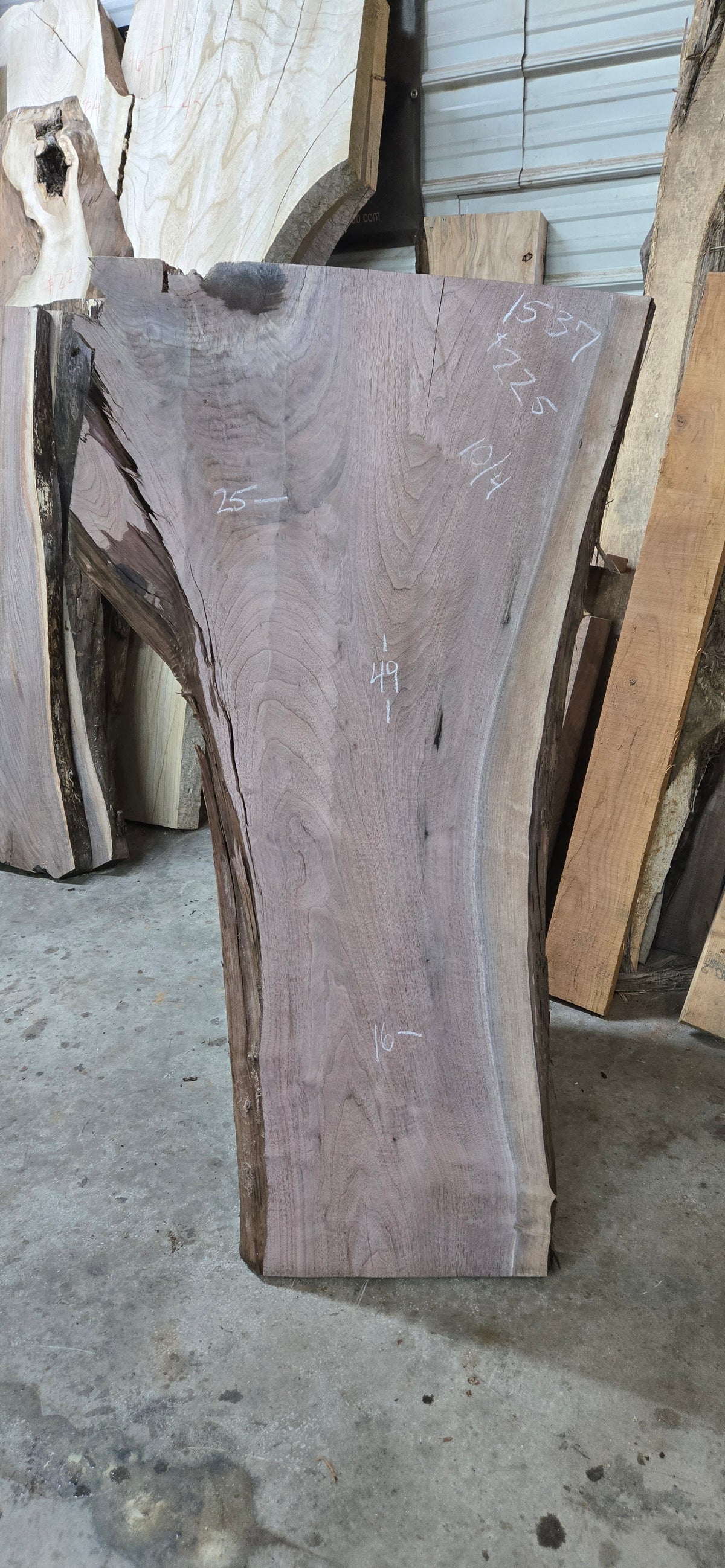 Walnut live edge slab #1537, view 1