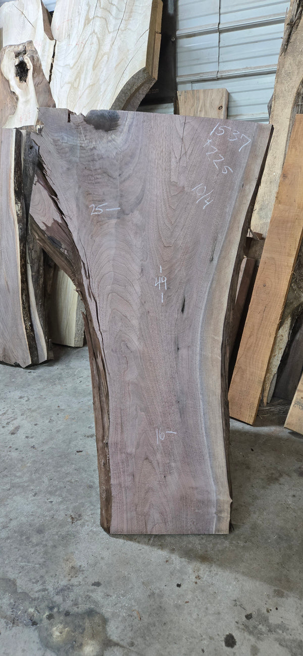 1537 Walnut Slab