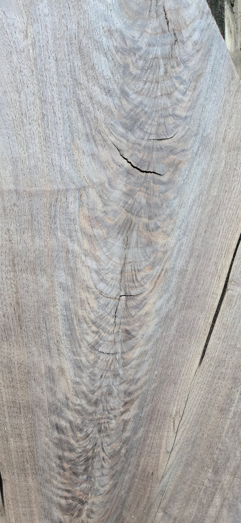 1281 Walnut Slab