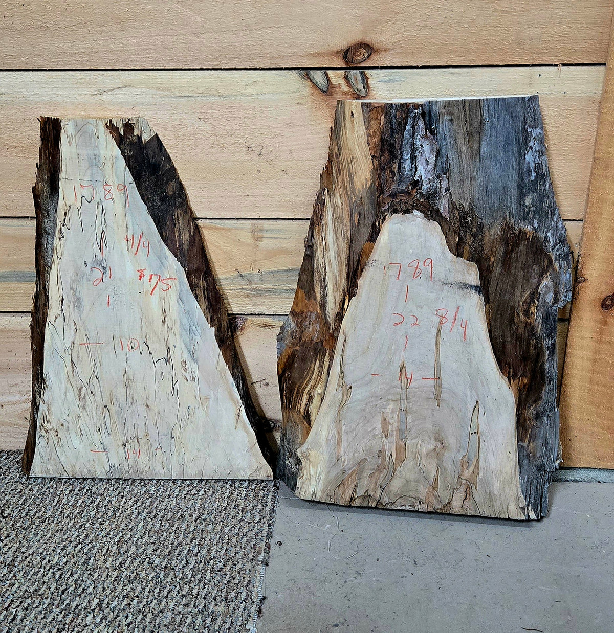 1789 Curly Spalted Ambrosia Maple 2-Piece DIY Wood Bundle, view 1