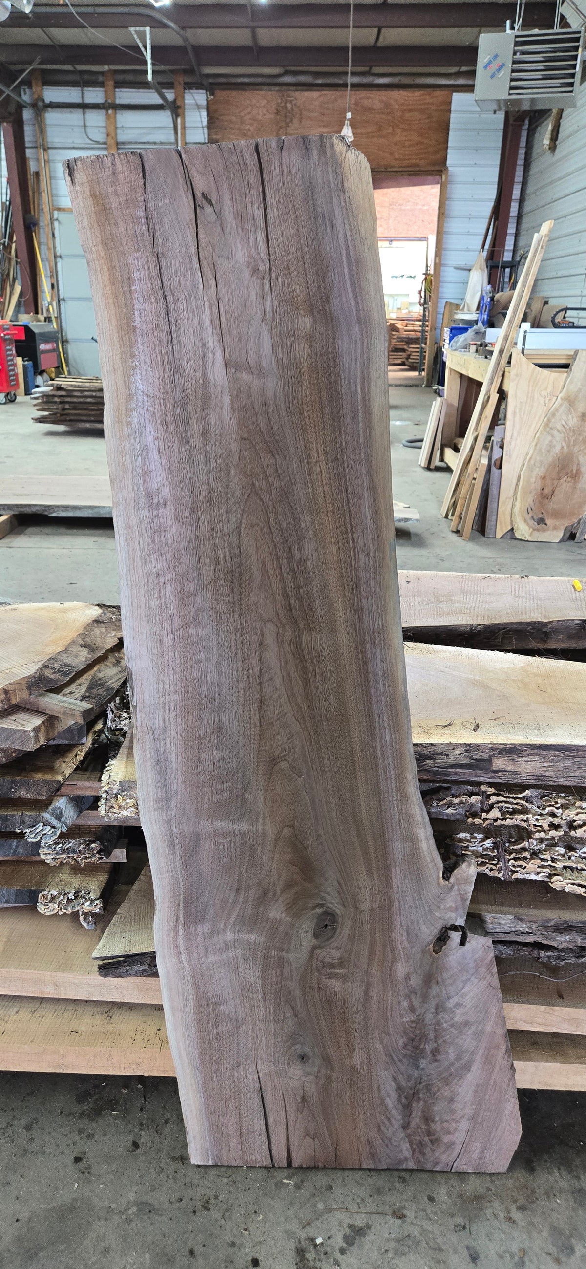 Walnut live edge slab #1260, view 2