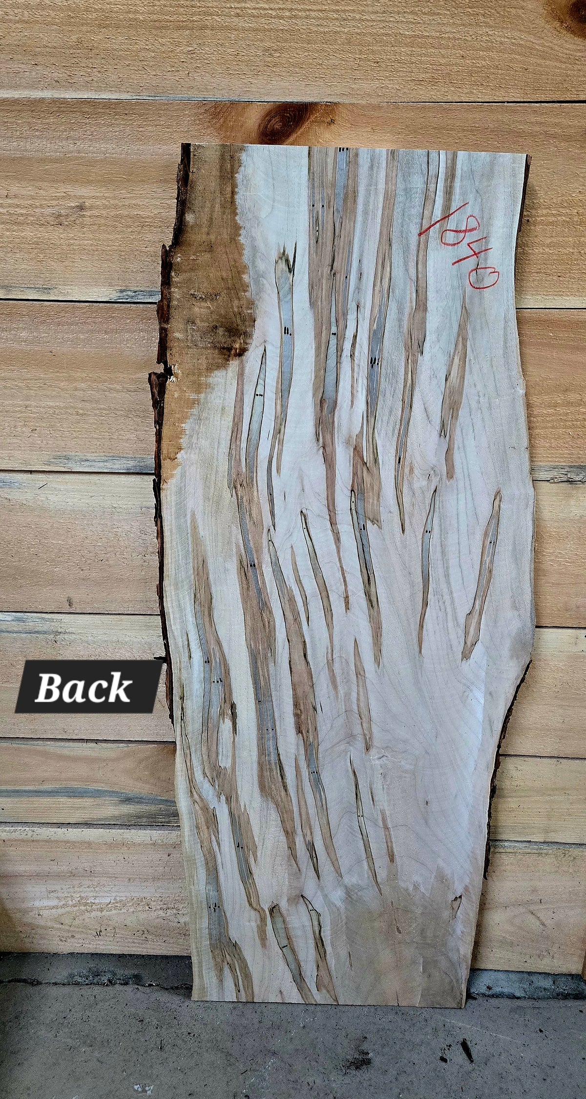 Curly Spalted Ambrosia Maple live edge slab #1840, view 4