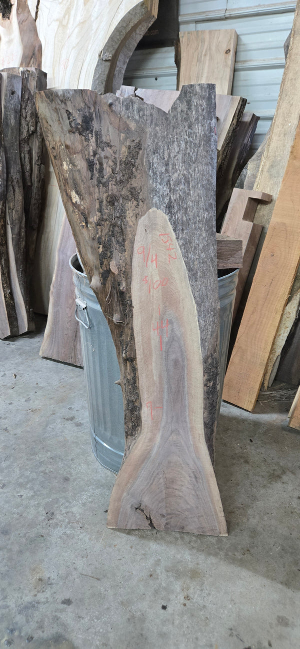 1542 Walnut Slab