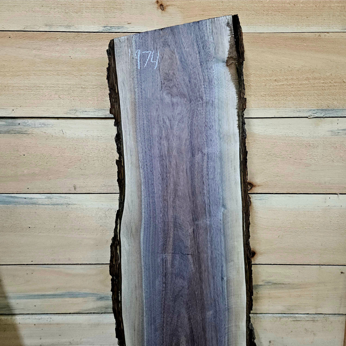 1974 Walnut Live Edge Slab – 40" × 8 - 9" × 7/4"