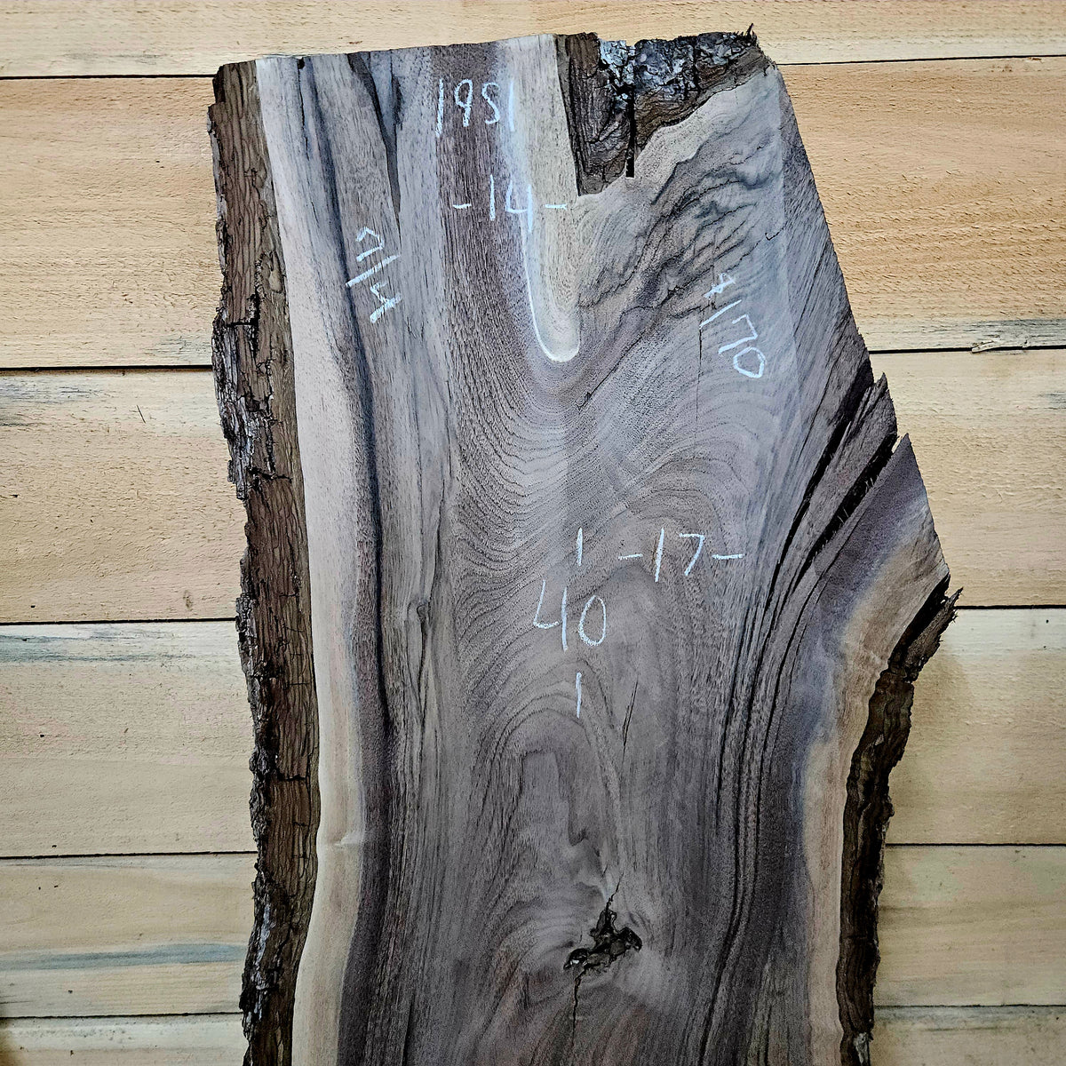 1951 Walnut Live Edge Slab – 40" × 14 - 17" × 7/4"