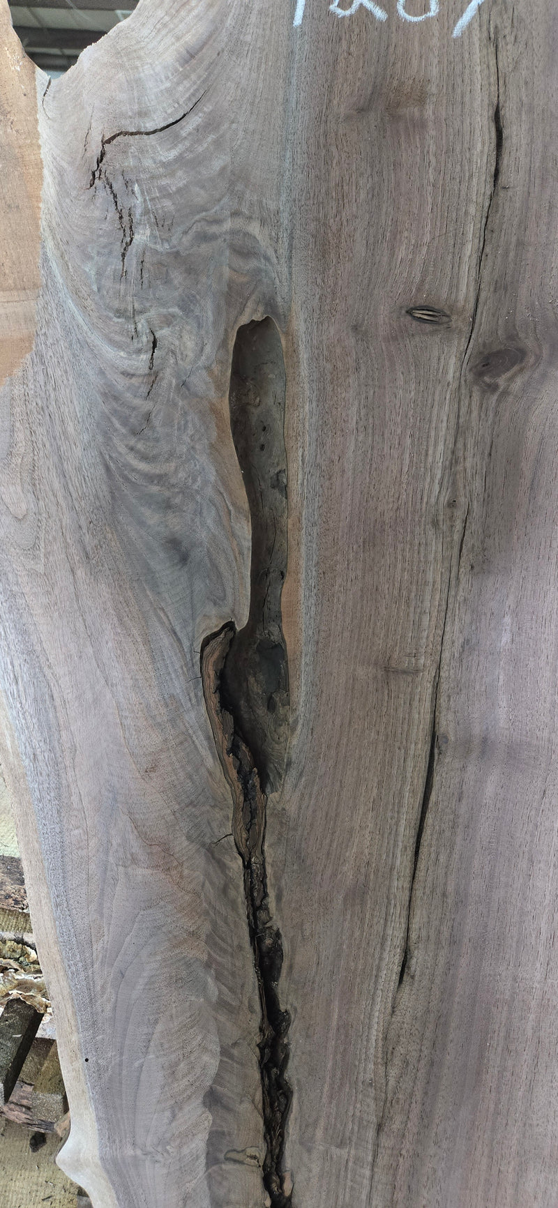 1287 Walnut Slab