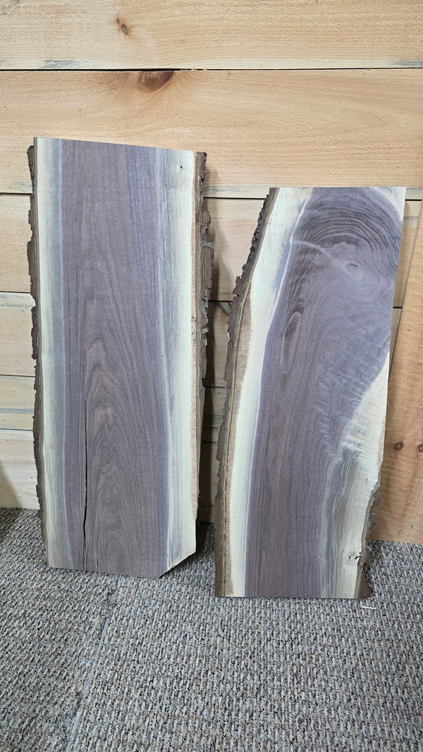 1495 Walnut DIY Bundle