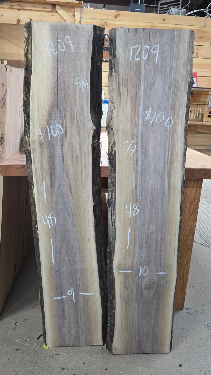 1209 Walnut DIY Bundle