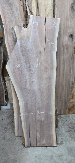 1281 Walnut Slab