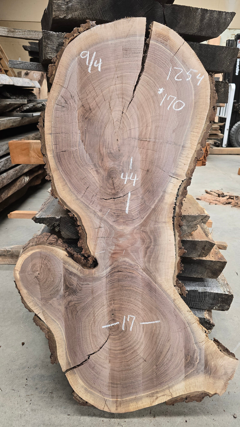 1254 Walnut Slab