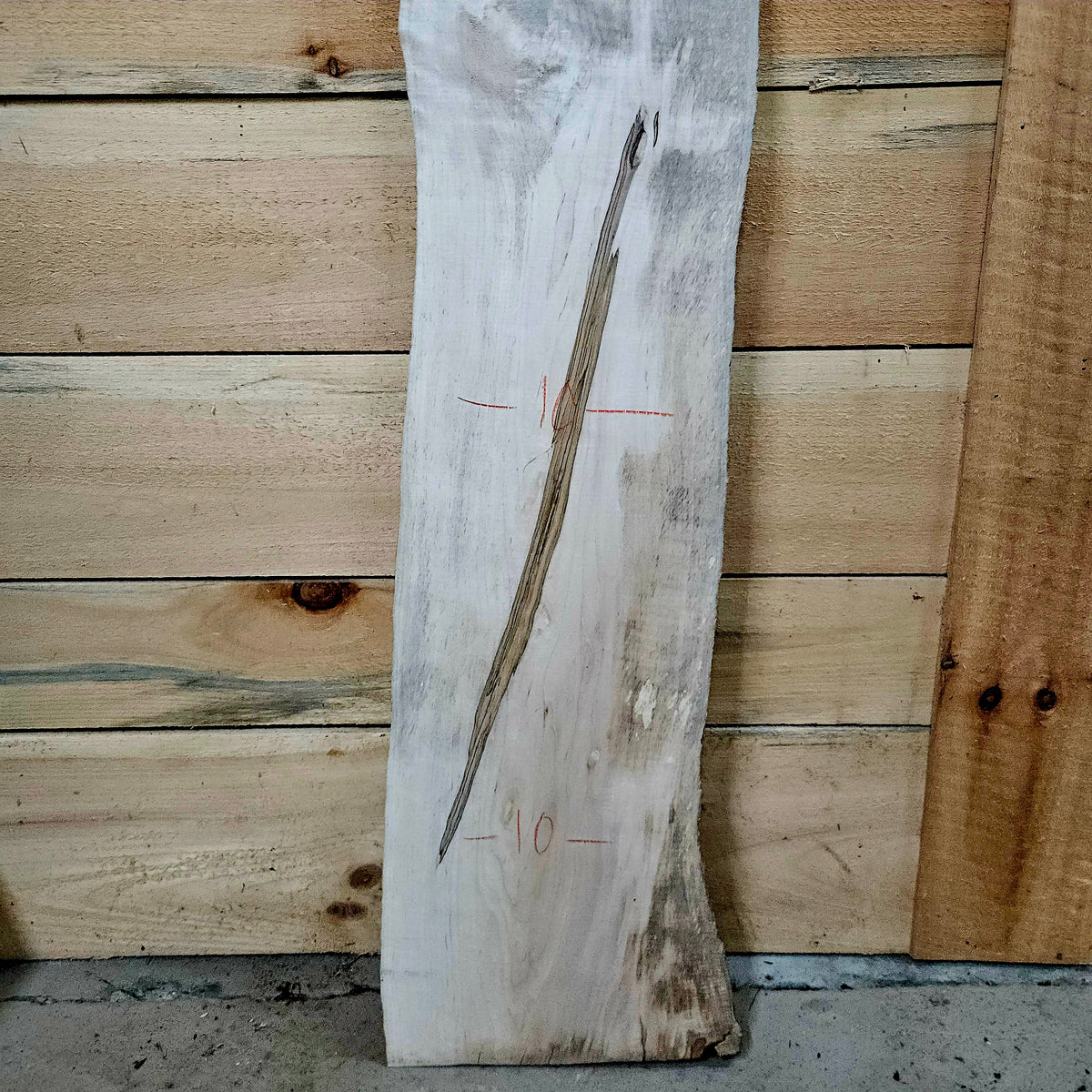 1962 Curly Maple Live Edge Slab – 41" x 4 - 10" × 6/4"