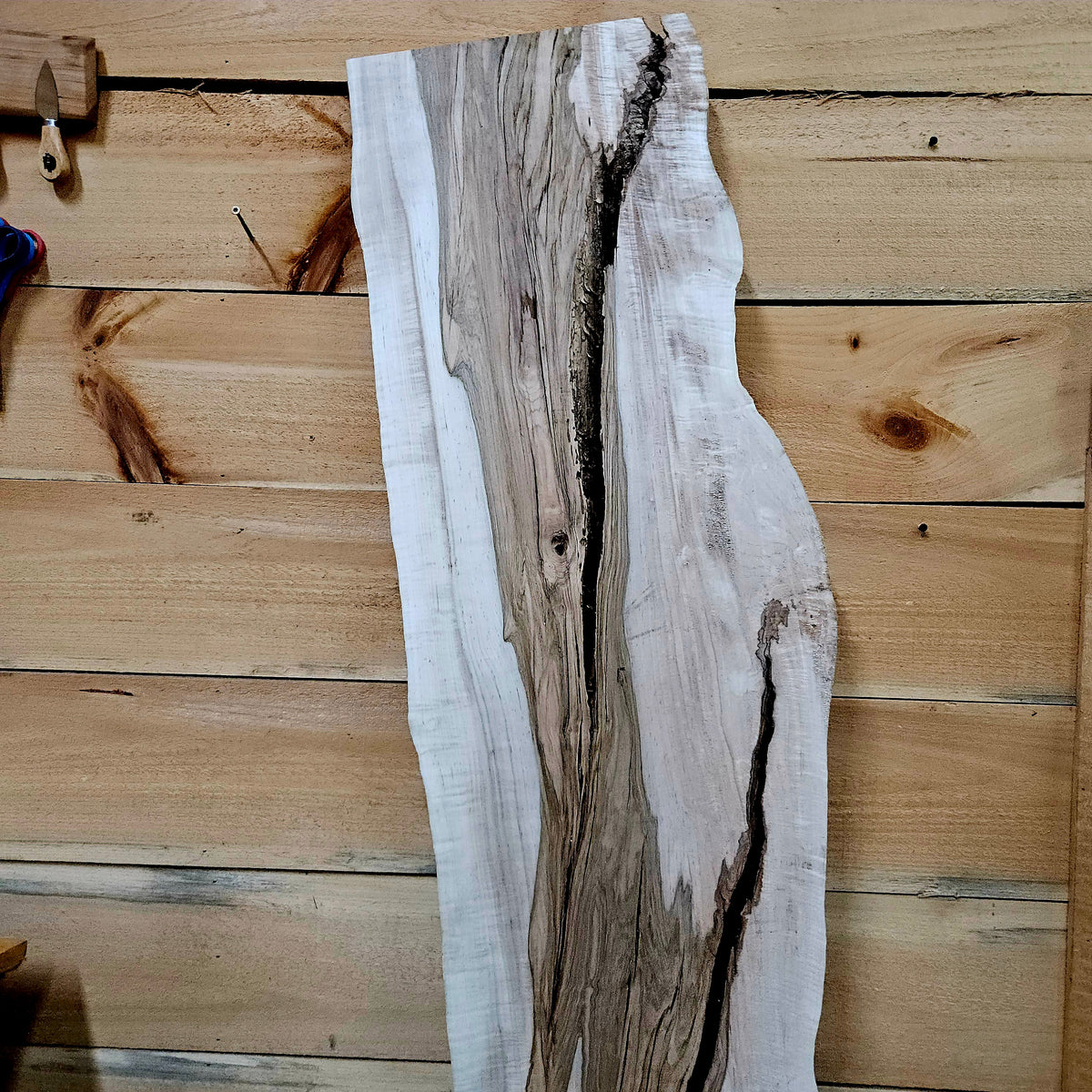 1959 Curly Maple Live Edge Slab – 66" x 10 - 15" × 7/4"