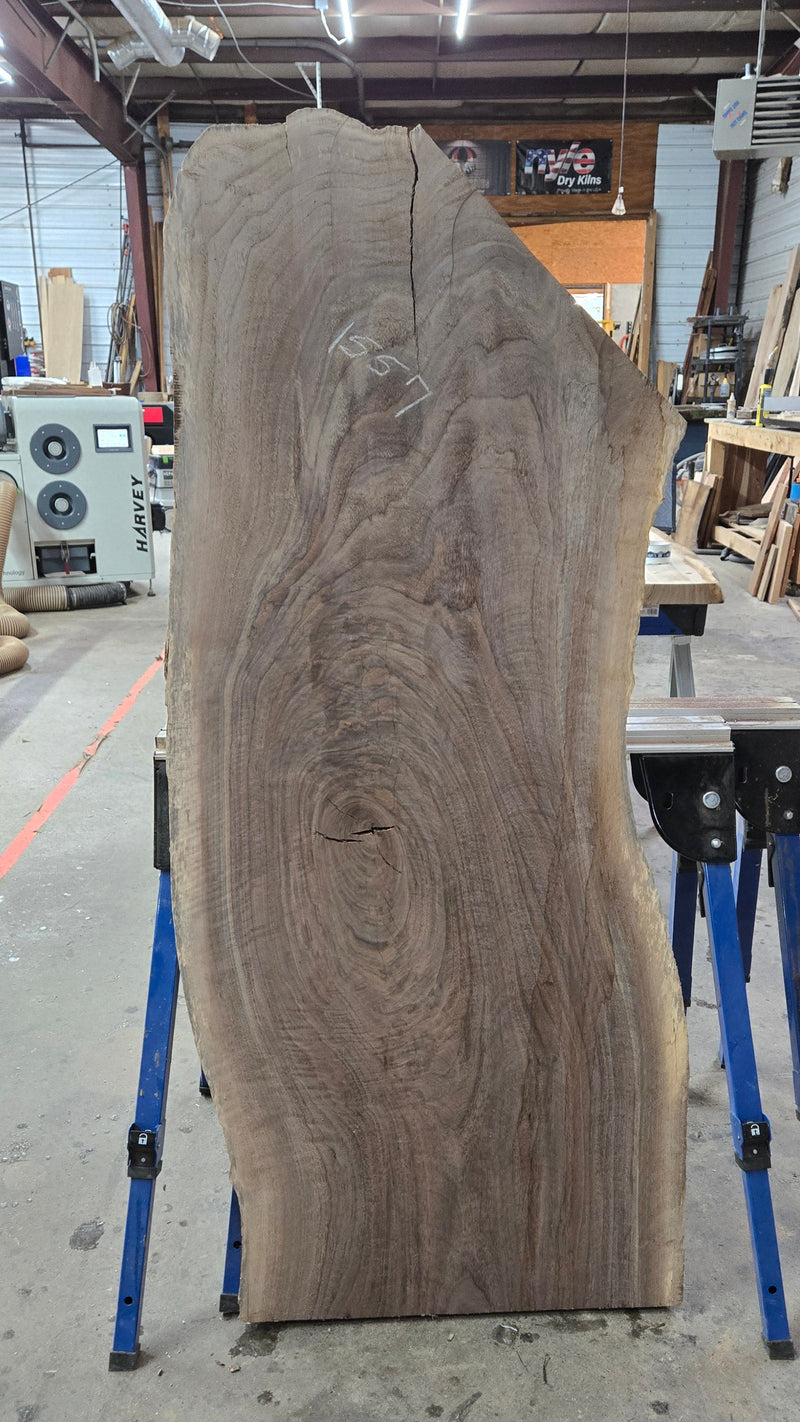 1557 Walnut Slab