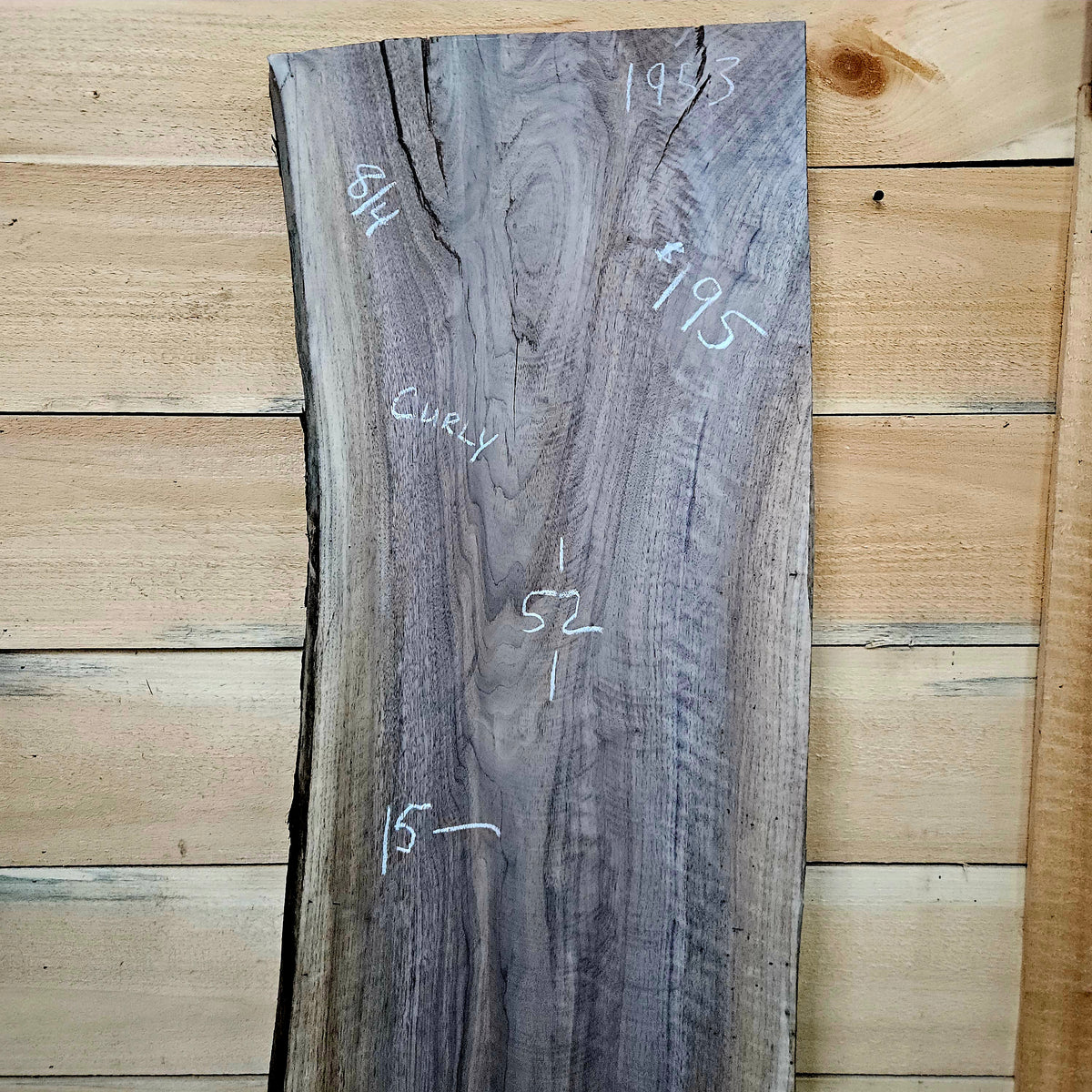1953 Walnut Live Edge Slab – 52" × 15" × 8/4"