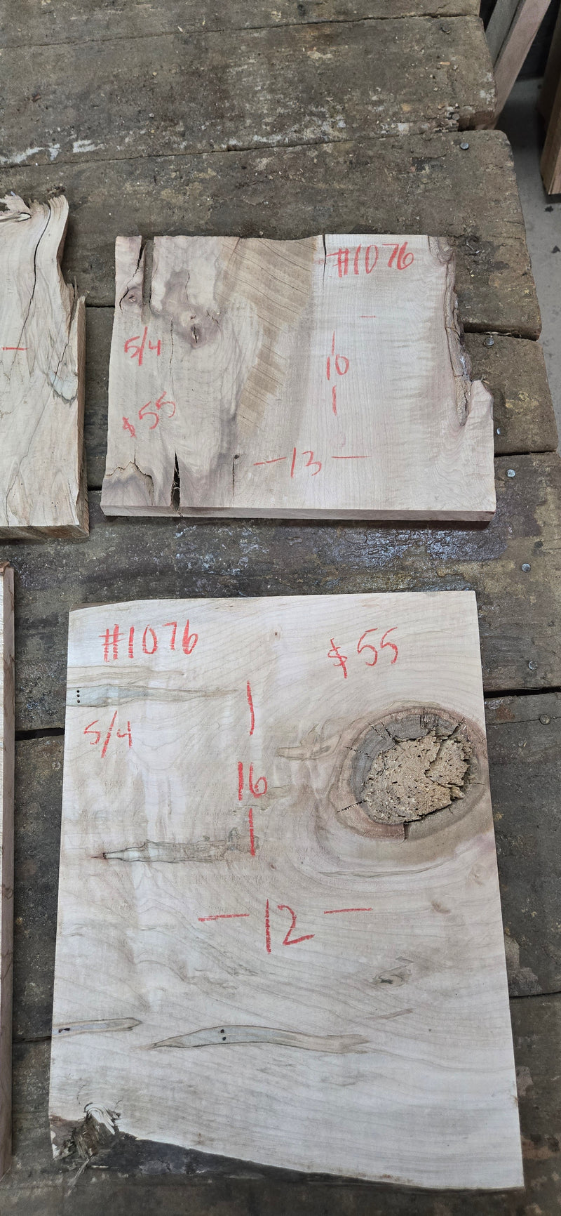 1076 Curly ambrosia Maple DIY bundle