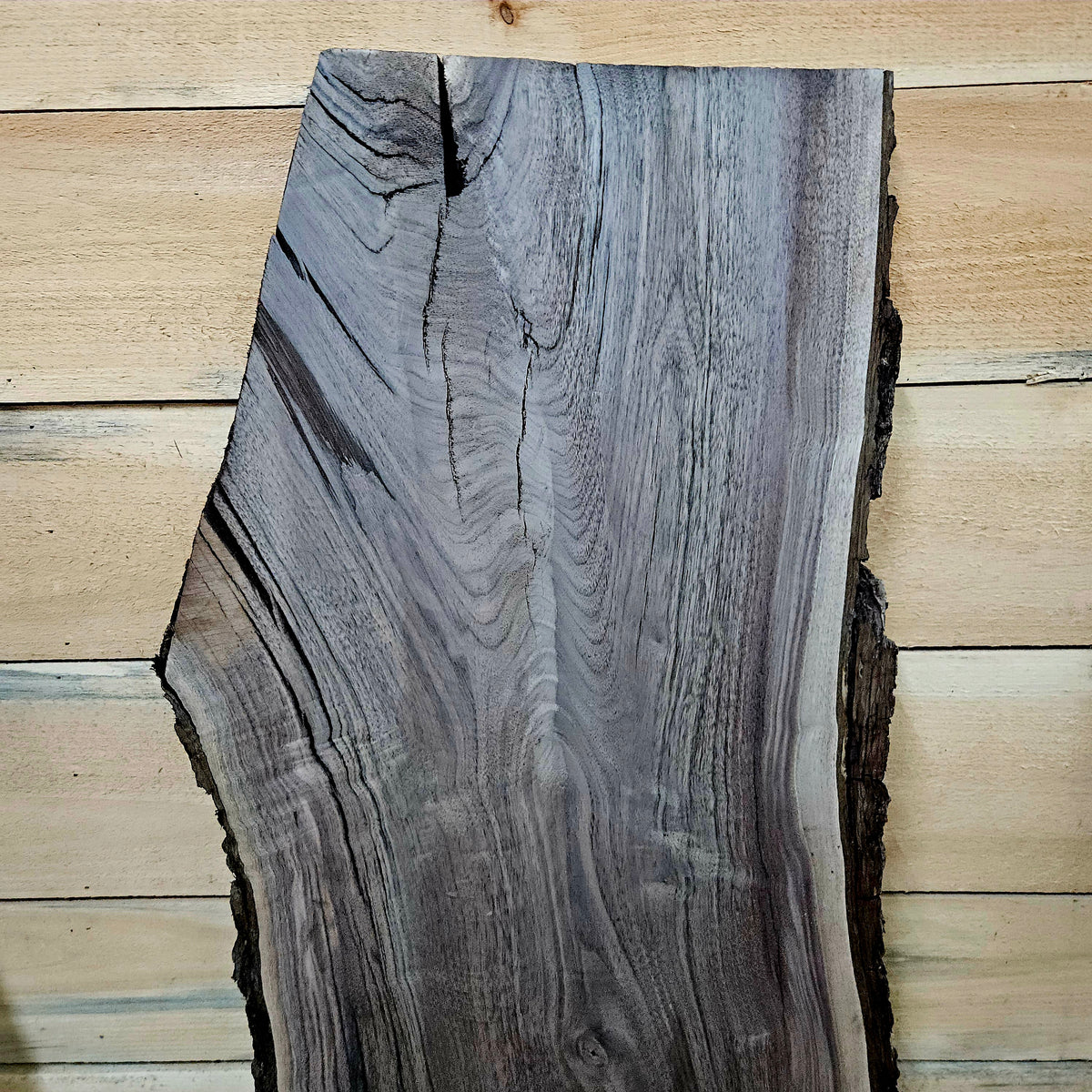 1951 Walnut Live Edge Slab – 40" × 14 - 17" × 7/4"