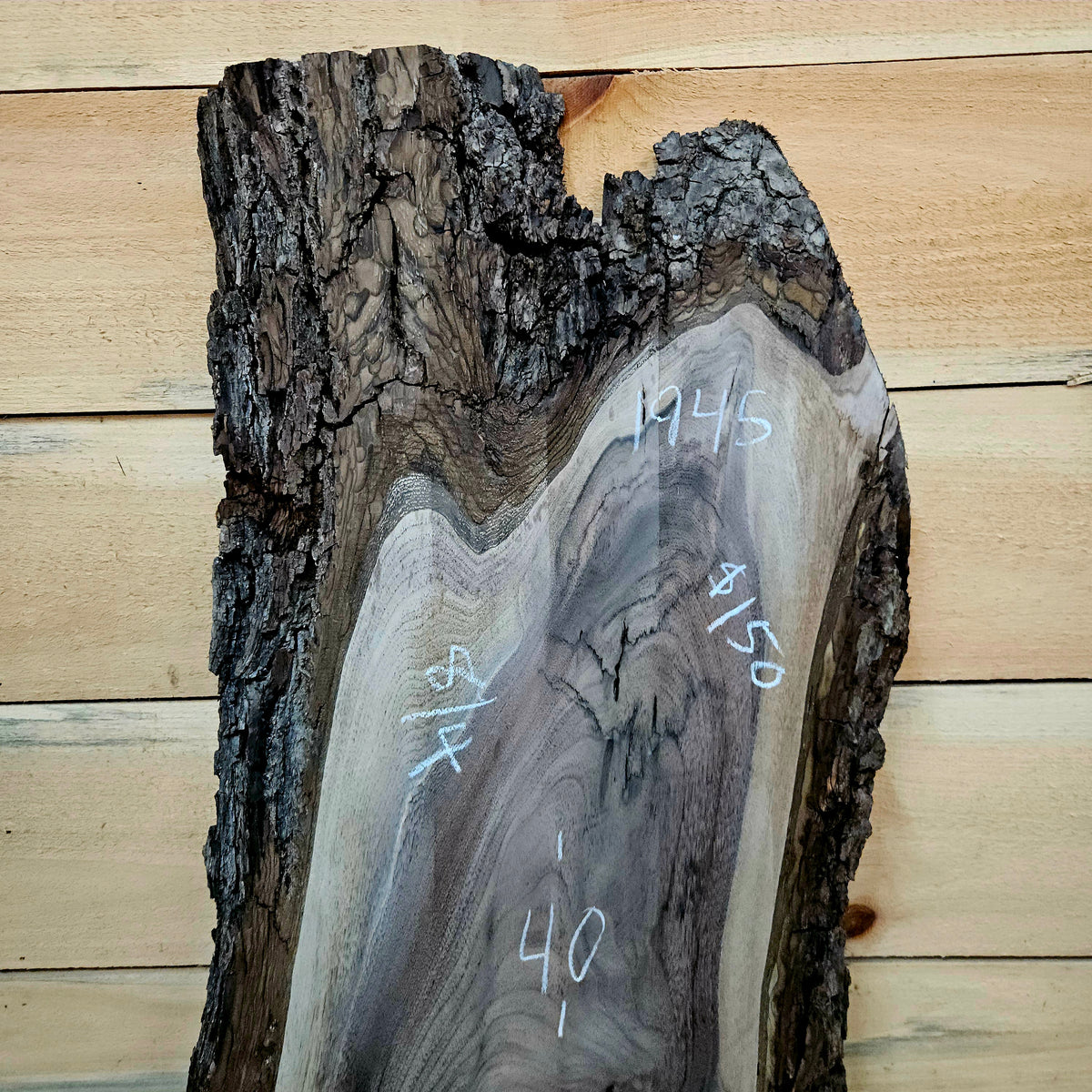 1945 Walnut Live Edge Slab – 40" × 12" × 8/4"