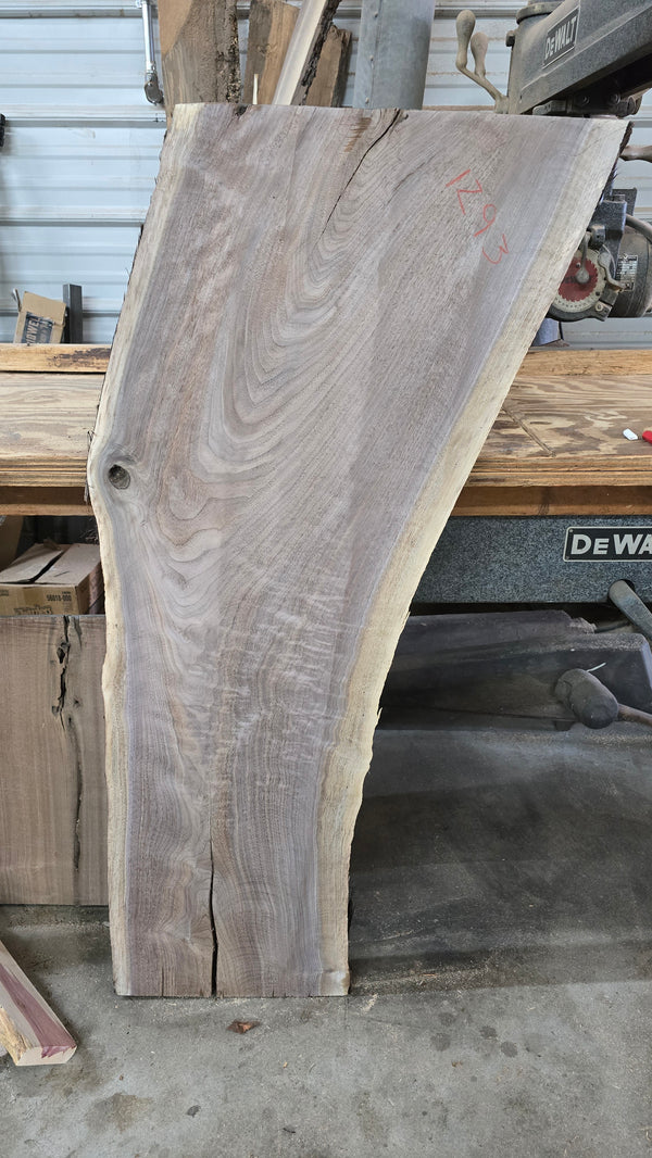 1293 Walnut Slab
