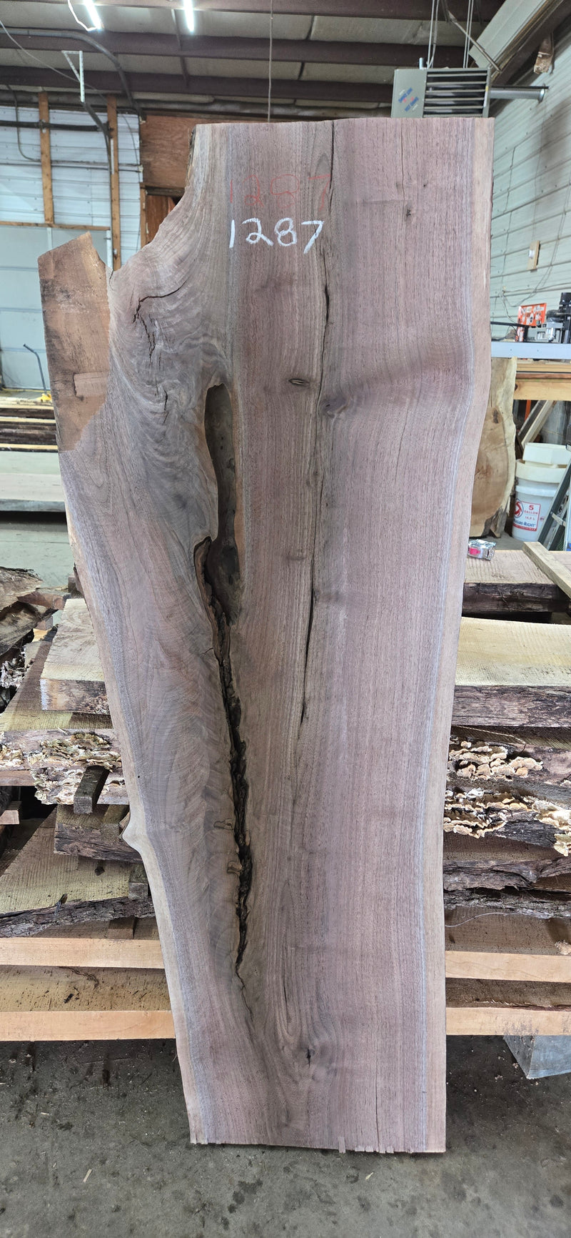 1287 Walnut Slab
