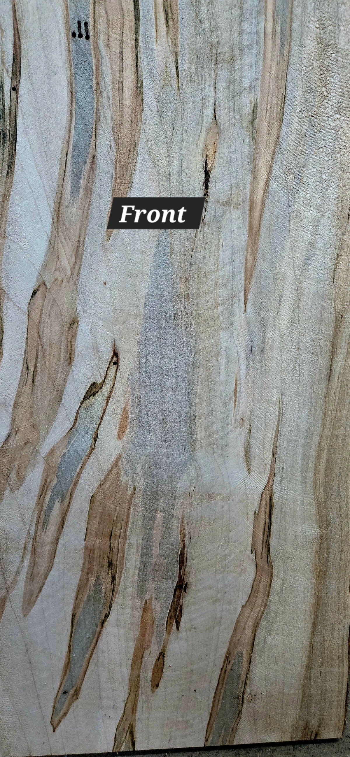 Curly Spalted Ambrosia Maple live edge slab #1840, view 3