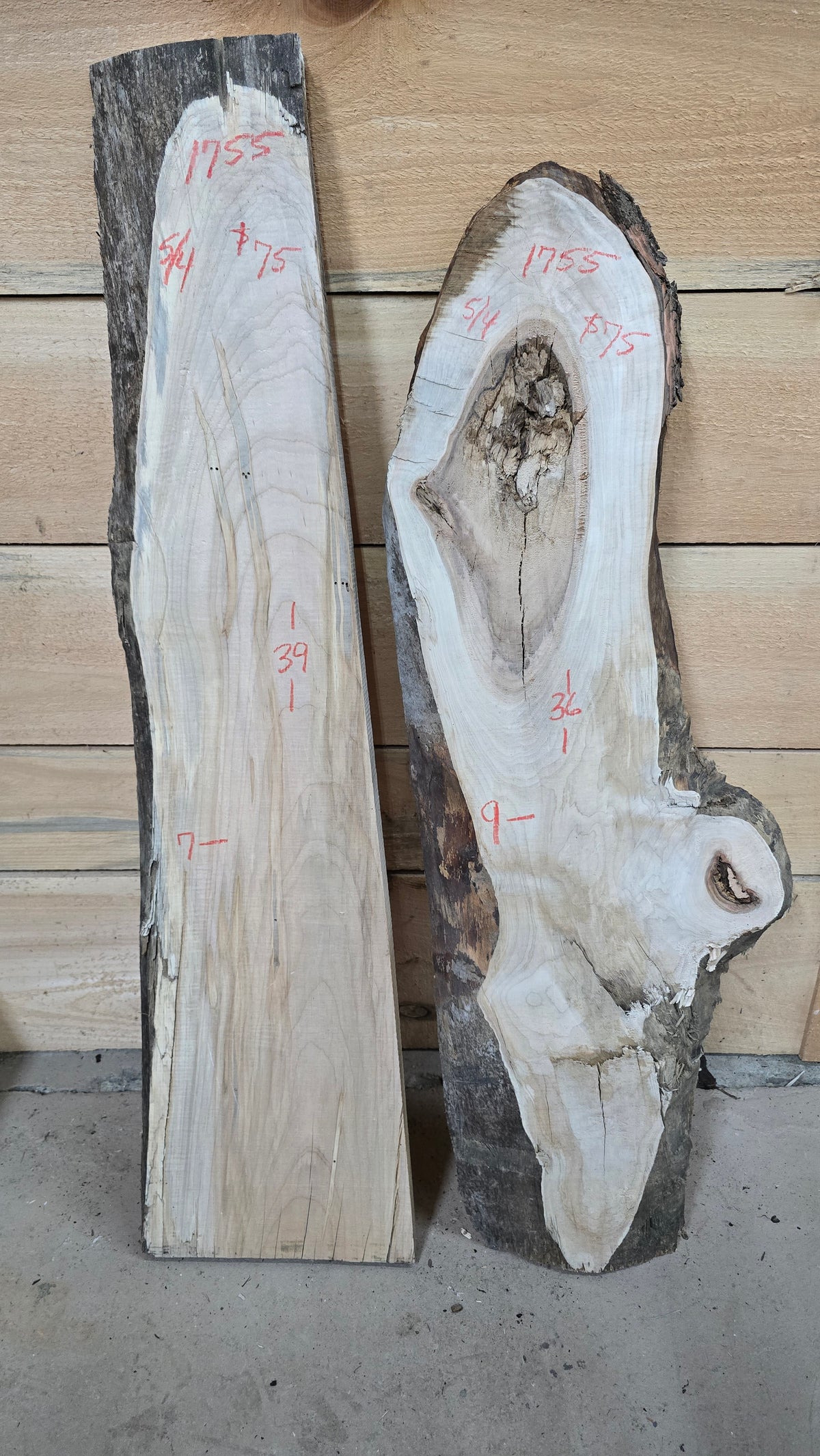1755 Curly Ambrosia Maple 2-Piece DIY Wood Bundle, view 1