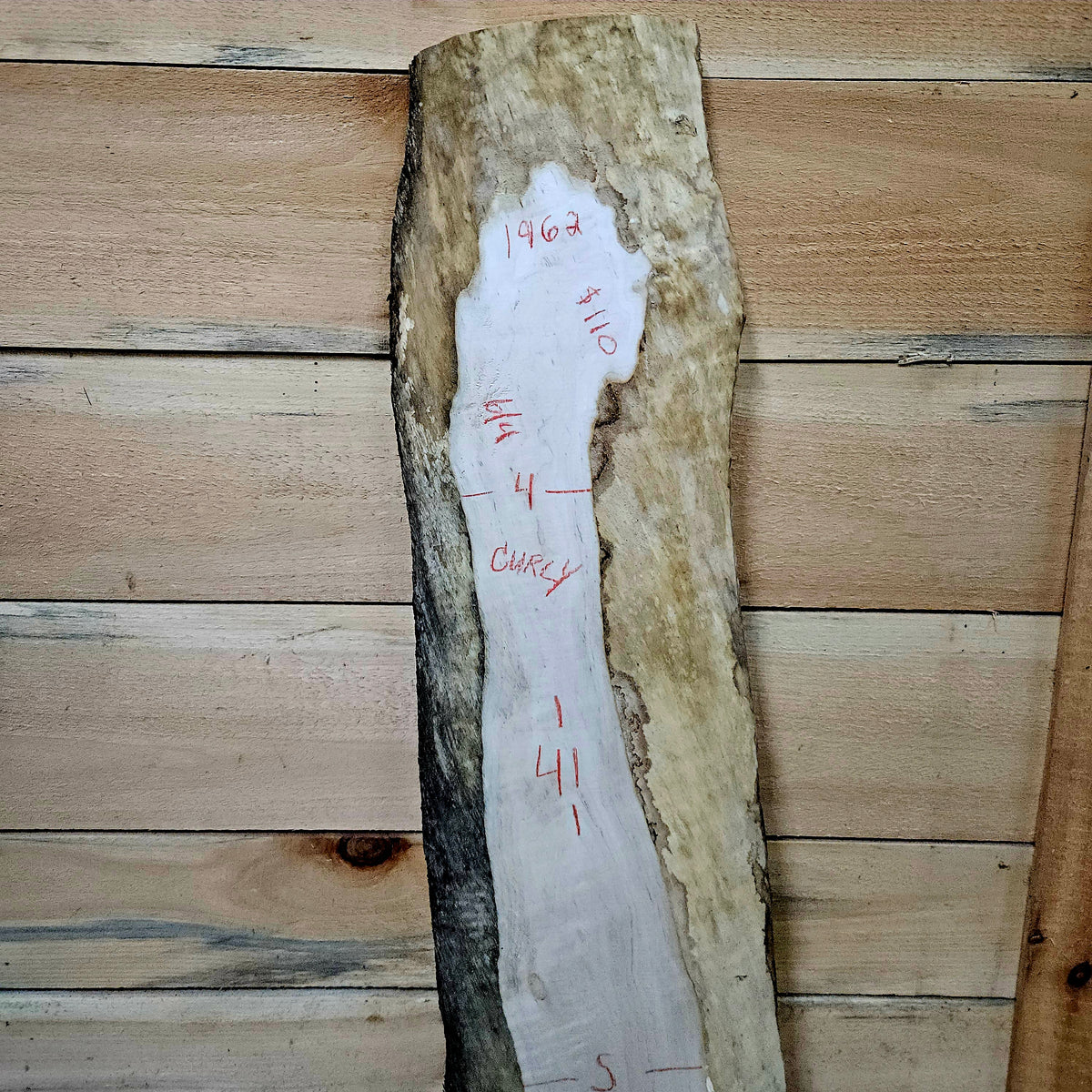 1962 Curly Maple Live Edge Slab – 41" x 4 - 10" × 6/4"