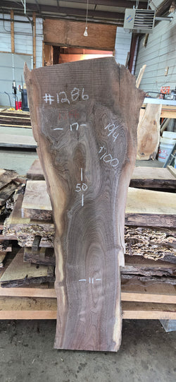1286 Walnut Slab