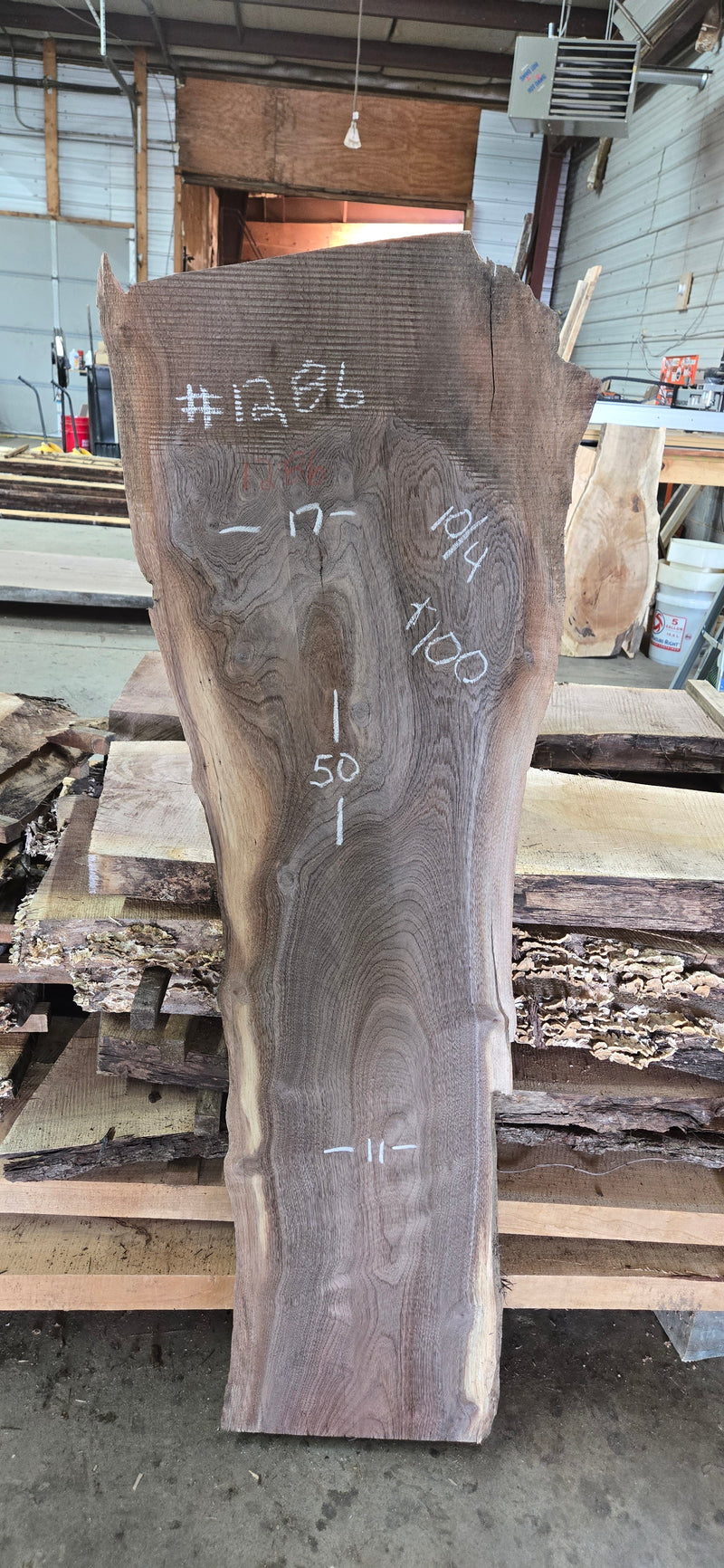 1286 Walnut Slab