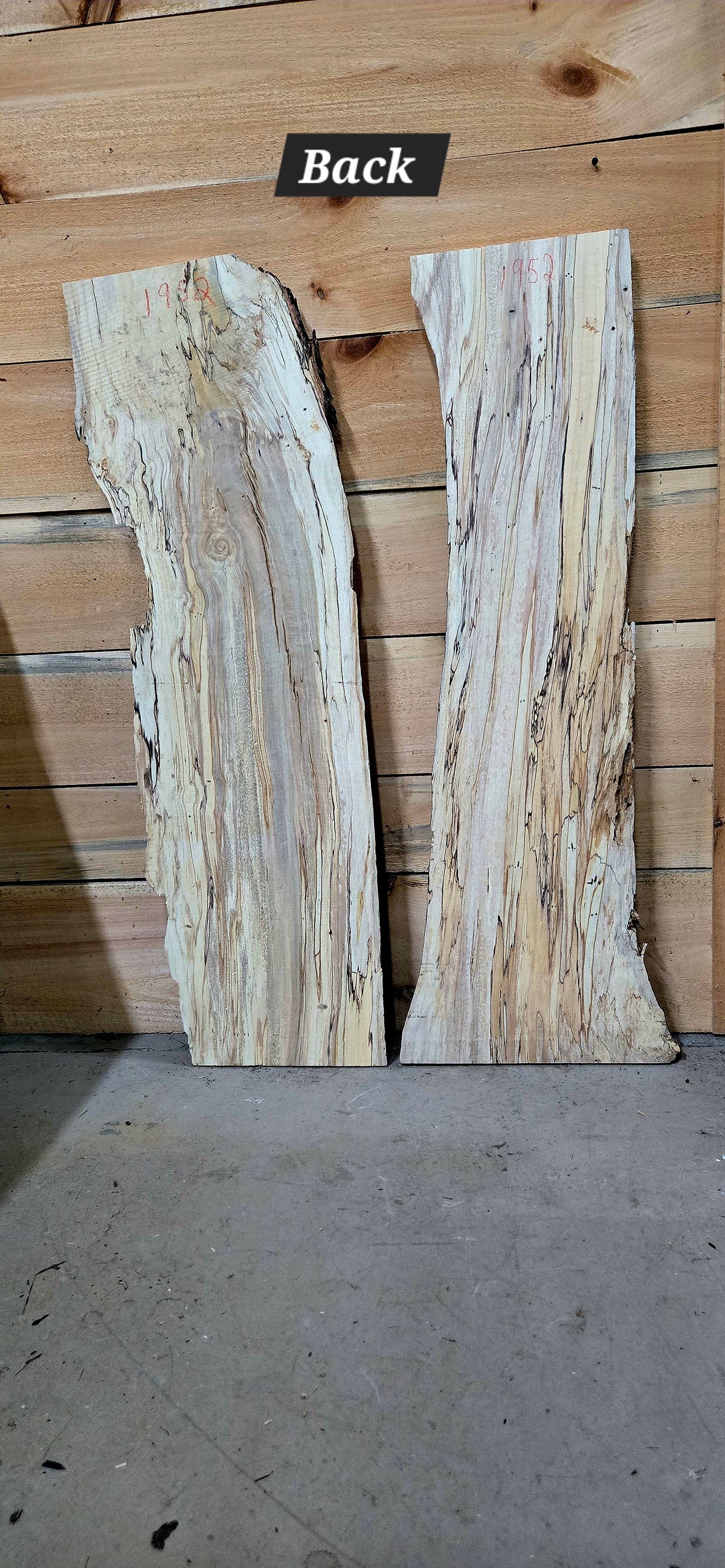 1952 Curly Spalted Ambrosia Maple 2-Piece DIY Wood Bundle