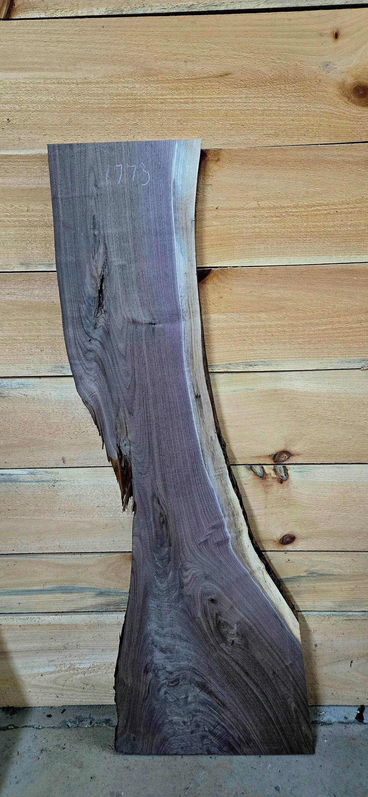Walnut live edge slab #1773, view 2