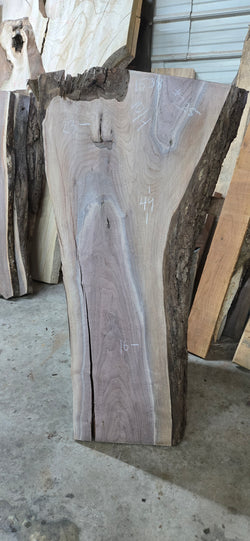 1538 Walnut Slab