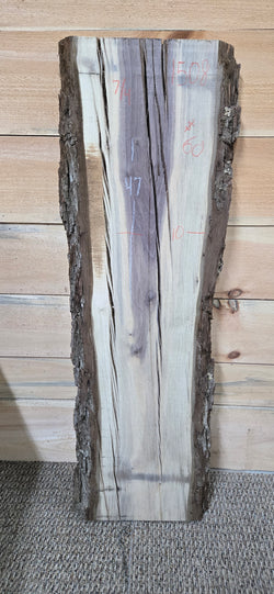 1508 Walnut Slab