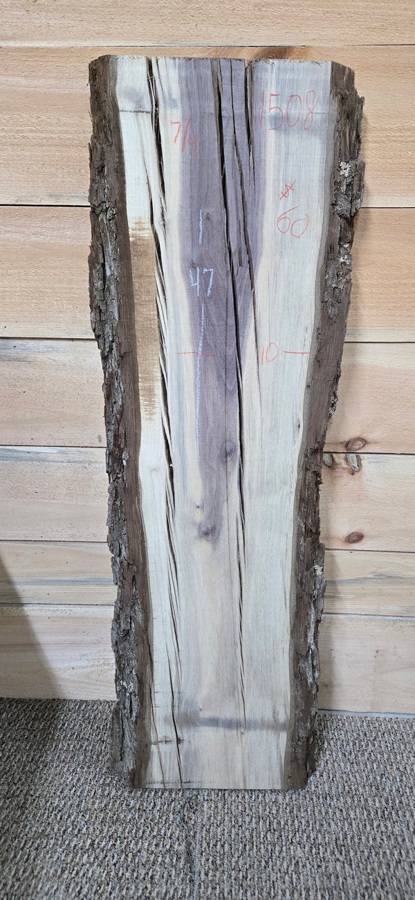 1508 Walnut Slab