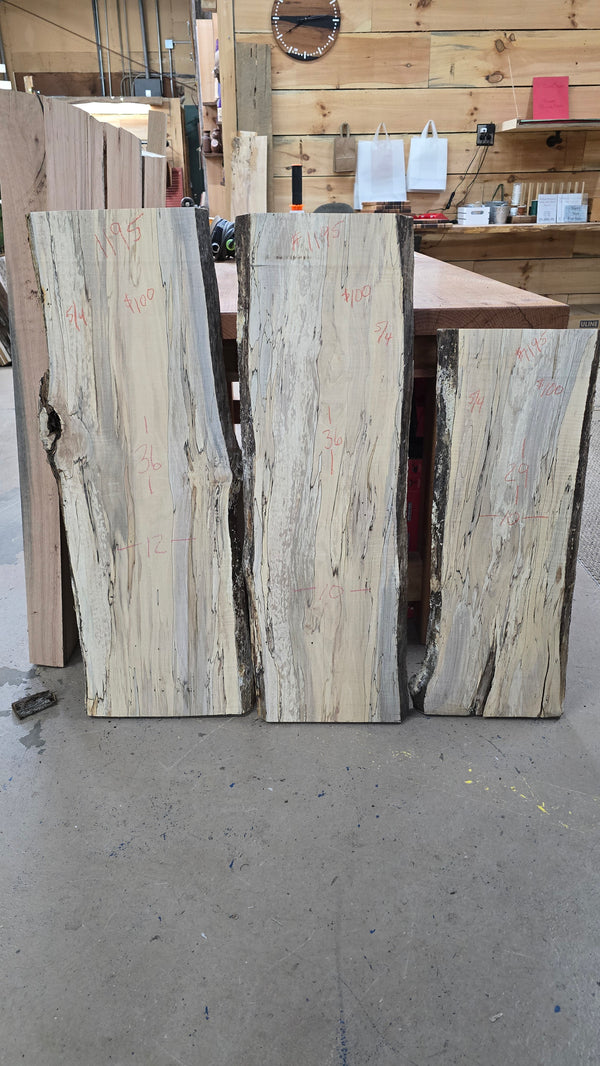 1195 Ambrosia Spalted Maple DIY Bundle