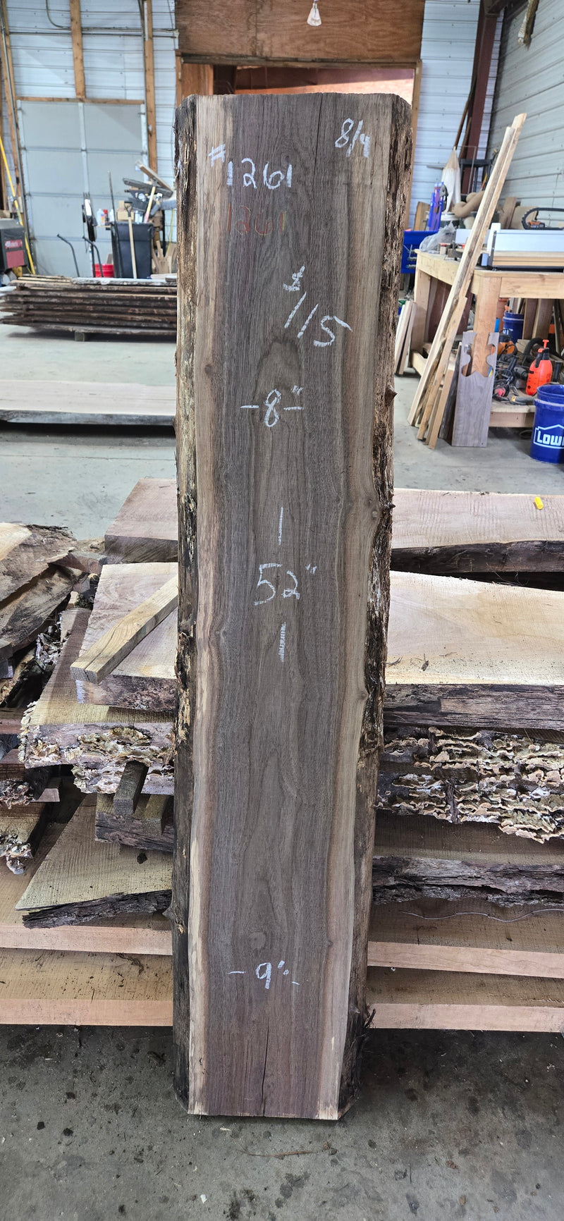 1261 Walnut Slab