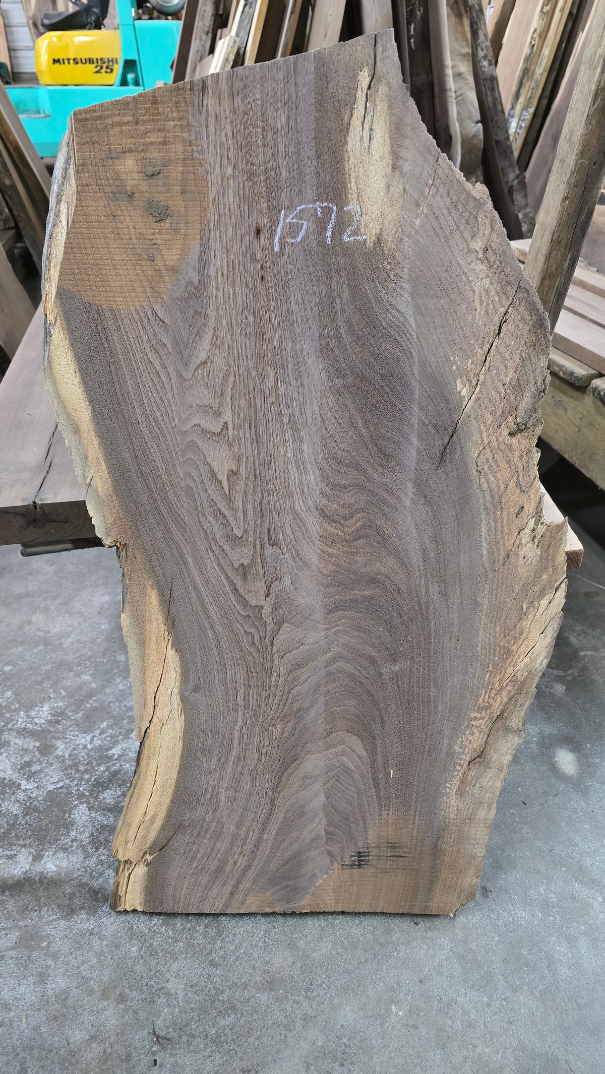Walnut live edge slab #1572, view 2