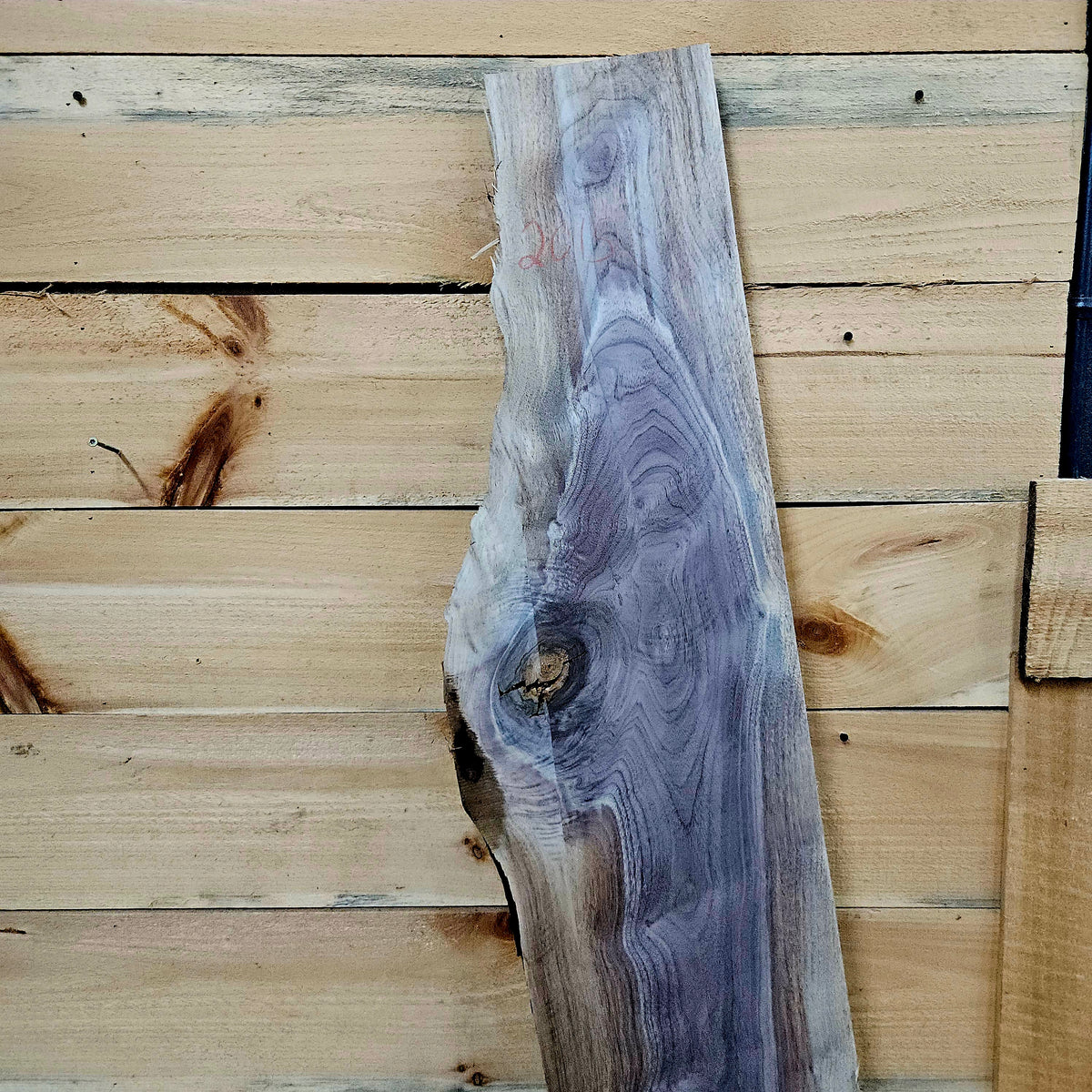 2015 Walnut Live Edge Slab – 72" × 12" × 7/4"
