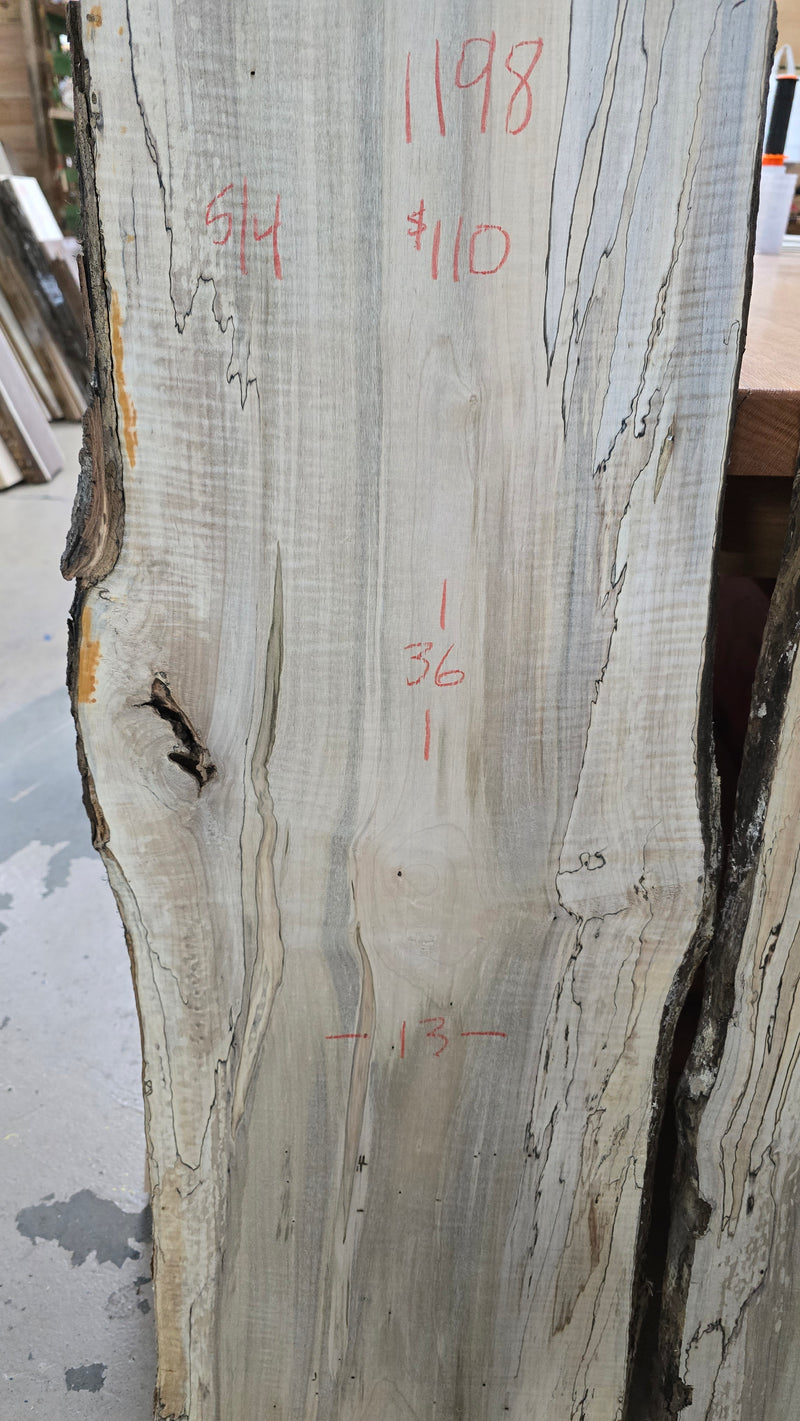 1198 Ambrosia Spalted Maple DIY Bundle