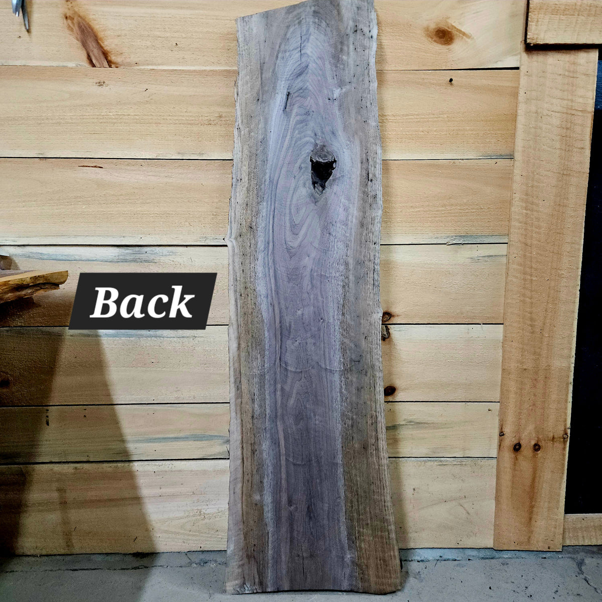 1955 Walnut Live Edge Slab – 53" 10 - 11" × 8/4"