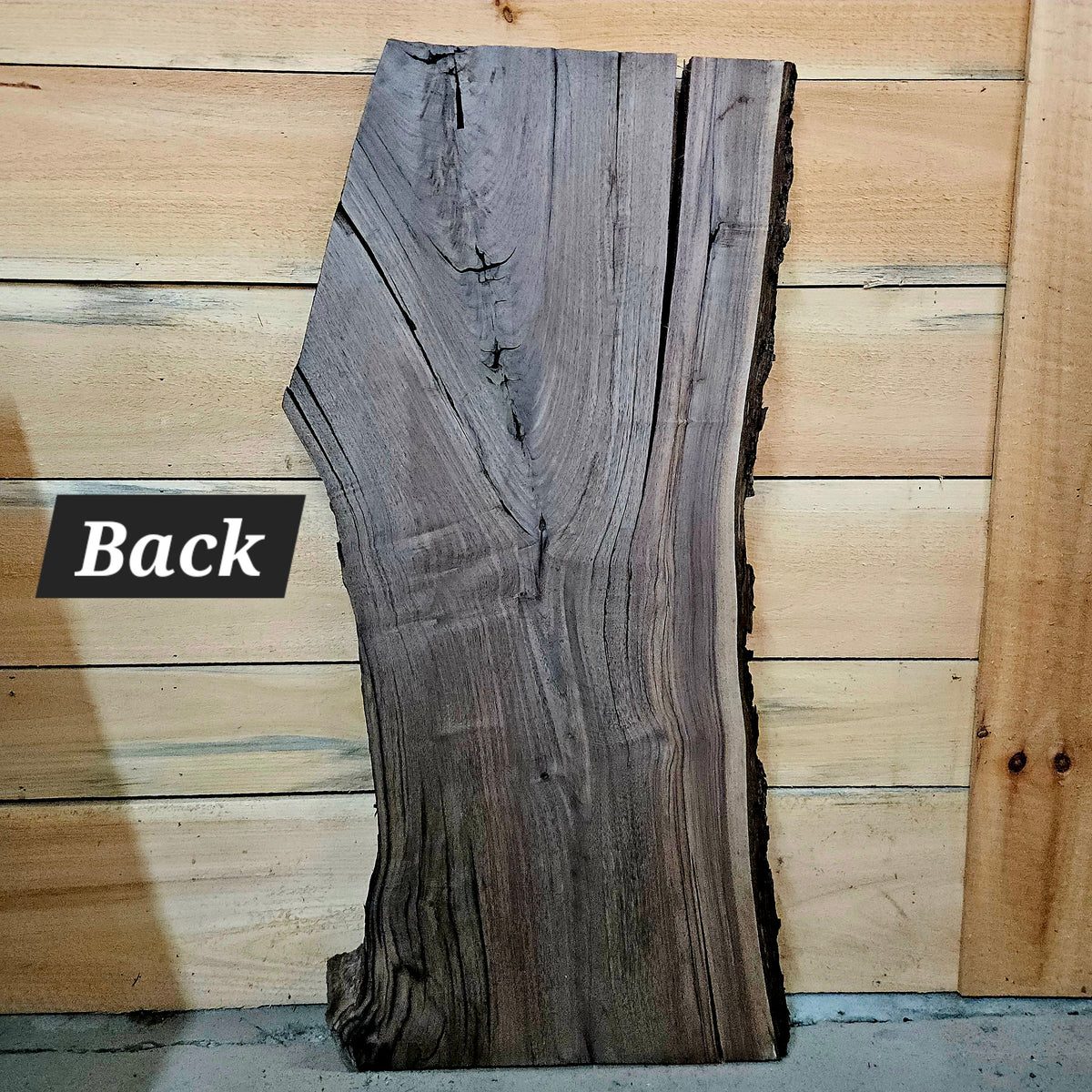 1946 Walnut Live Edge Slab – 40" × 15 -18" × 6/4"