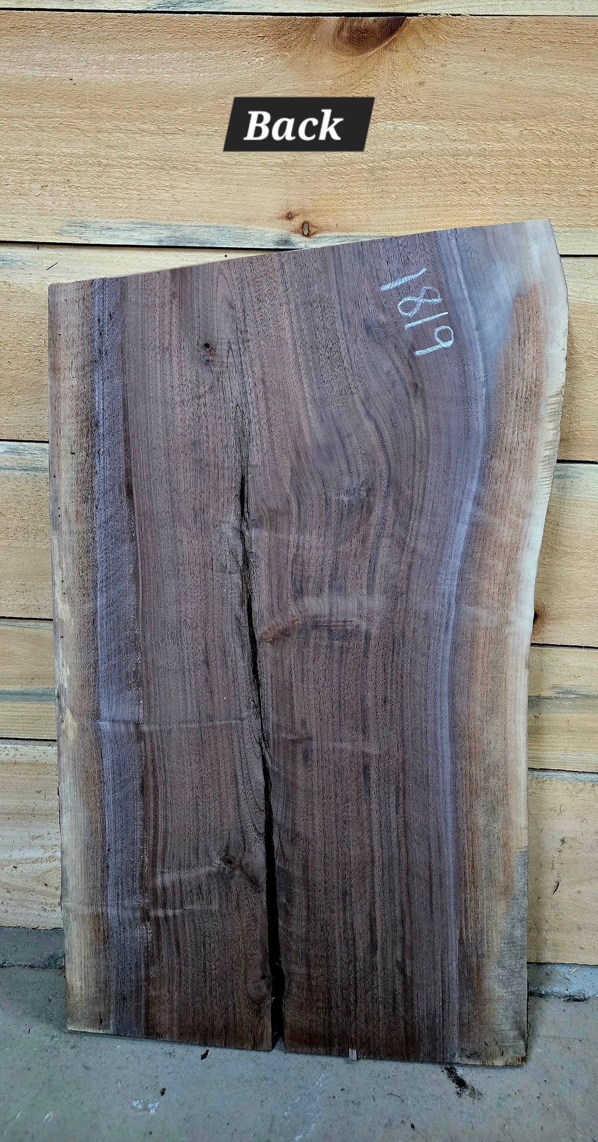 Walnut live edge slab #1819, view 2